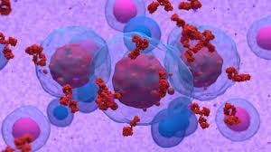 Image of multiple myeloma attacking cells.